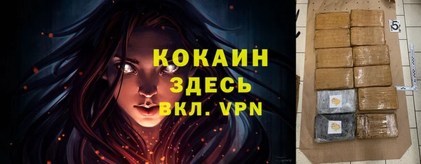 хмурый Абаза