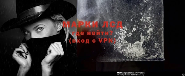 хмурый Абаза