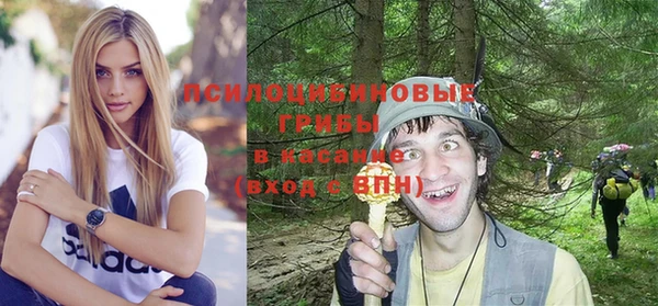хмурый Алексин