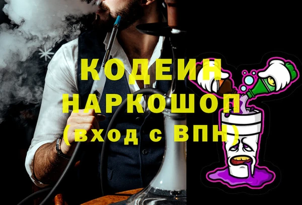 хмурый Абаза