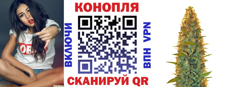 darknet какой сайт  как найти закладки  Нижняя Салда  Марихуана сатива 